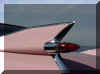 flosse2.JPG (8221 Byte)