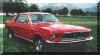 mustang1.JPG (9749 Byte)